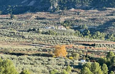 El Mirador de Benialfaqui, apartamento Els Olivers - Foto 41