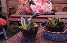 Casa do Bougainvillea Mundaú-Trairi-Ce - Foto 10