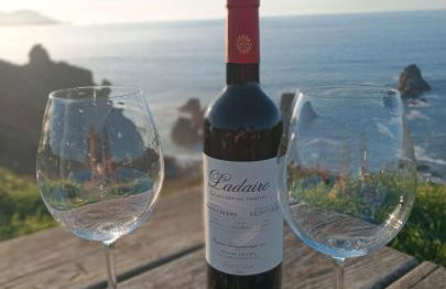 Los Bell@s - Foto 13