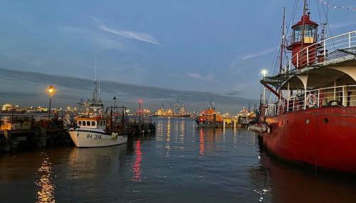 Wellie Stern - Foto 5