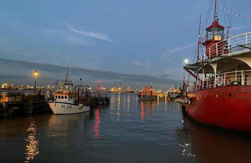 Wellie Stern - Foto 5