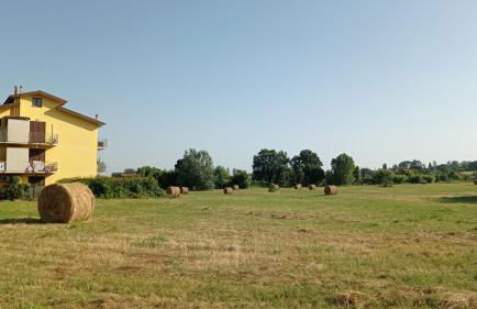 Giardino del sole, con Wi-Fi, smart TV, aria condizionata - Foto 23