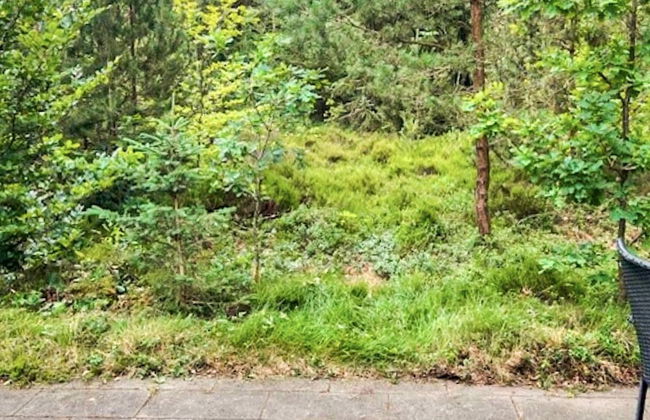 5 Person Holiday Home in Herning-by Traum - Foto 30