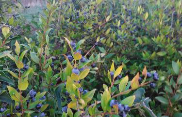 Agriturismo Vistamare - Foto 80