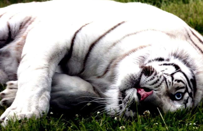 Excursion au Valle del Río Negro + Ecoparc Bubalcó - Photo 1