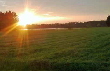 Ferienhof Amslinger - Foto 11