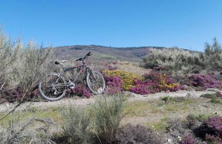 Quinta das Colmeias - Foto 13