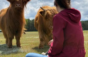 Tiny house in the forest - Foto 6
