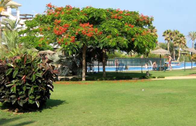 Apartamento Jardines E1-1C - Foto 26