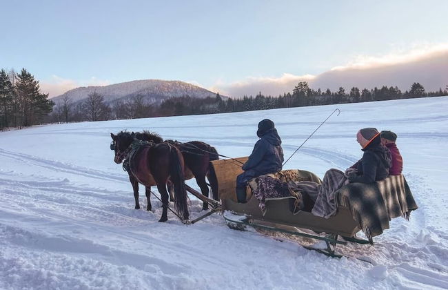 Końska Dolina - Photo 44