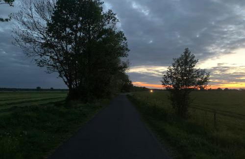 Landidyll - Bauernhaus Ländchen Bellin - Photo 35