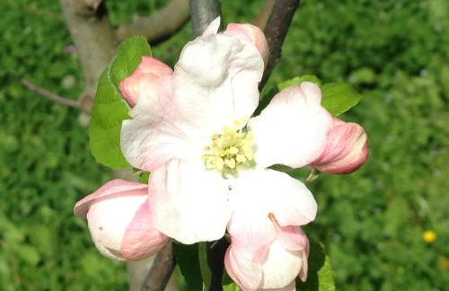 Agriturismo Zafferano e Dintorni - Foto 24