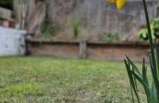 Cottage Corner NI - Foto 28