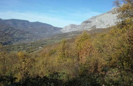 Apartamentos Valdecarzana Senda del Oso - Foto 30