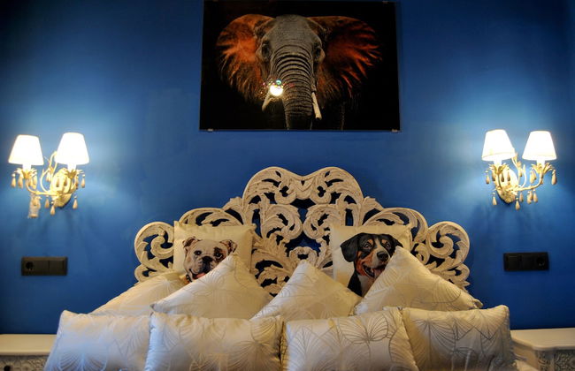 Casas Rurales Collarubio - Foto 11