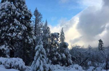 1948 Cottage with today's amenities - Foto 16