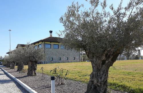 Agriturismo San Gallo - Foto 9