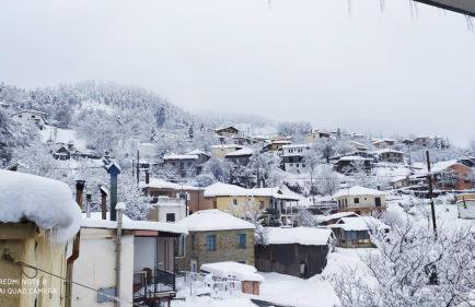 Elena's villa - Foto 24