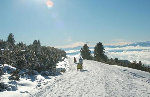 Unterpfaffstall-Hof - Foto 45