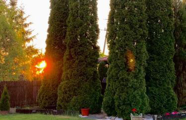 Mazurski dom Brejdyny Sauna i Bania - Foto 53