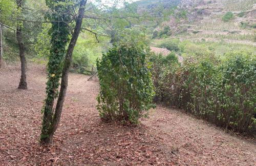 Appartement fonctionnel - Foto 9