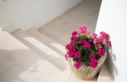 Apartamentos Gama - Photo 51