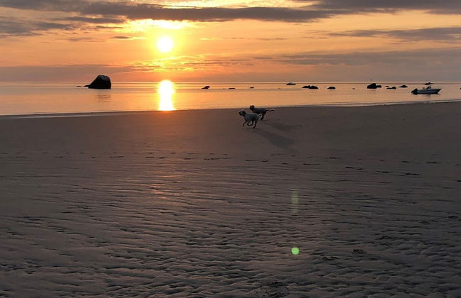 All New Beautiful Priscilla Beach House Ocean View - Foto 9