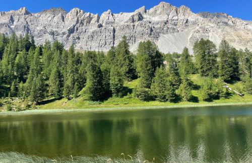 AU PIED DES PISTES D'ARVIEUX - Foto 46