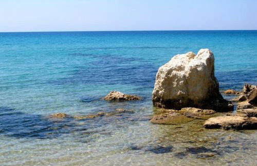 House in Sani,very close to the beach and marina - Foto 48