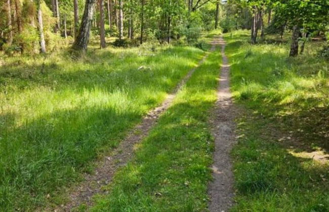 4 Person Holiday Home in Holbaek - Photo 30