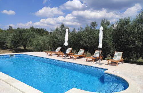 Villa Dorina - Foto 62