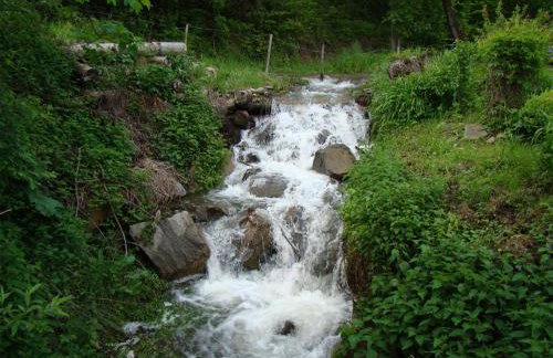 Domek nad stawem - Foto 53