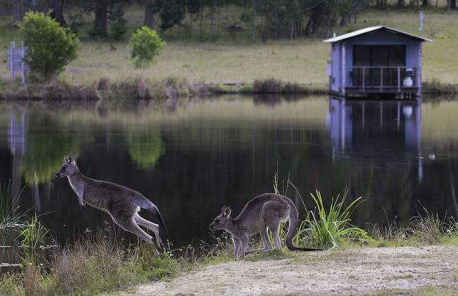 Worrowing Jervis Bay - Photo 8