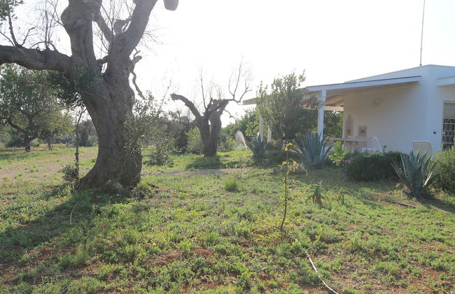 Country Salenthouse - Foto 6