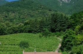 Agriturismo Podere del Bosc - Foto 27