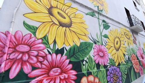 La casa de las flores - Photo 4