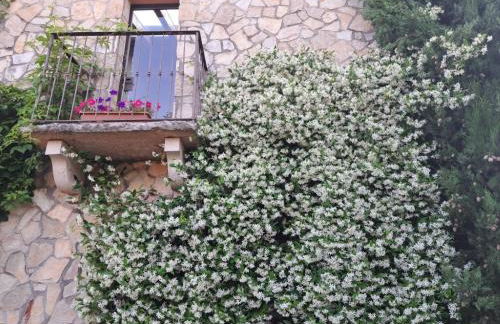 Villa dell'Olivo Bianco - Foto 41