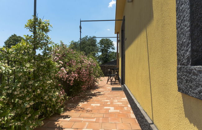 Viola nel Parco - Foto 31