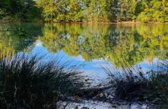 Tiny House am See Dillich - Hunde willkommen - Eigener eingezäunter Garten - Ruhige Lage - Klima - Foto 38