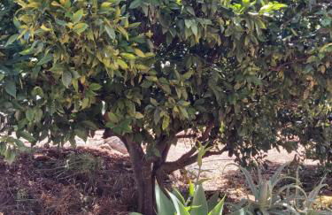 Casa El Peral - Foto 46