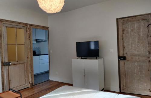 Bel appart rénové avec terrasse - Foto 7