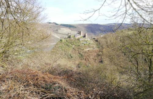 Panorama-Rheinblick St. Goar - Foto 31
