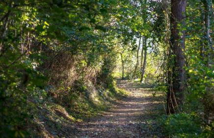Modern Large 4-Bed Property sleeps 10 in Abergele - Photo 18