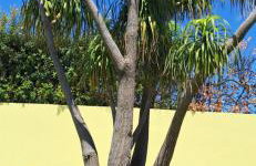 Garden House - Foto 2