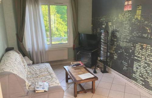 Appartement T2 lumineux CHU Stade Gaston Gérard 2 nuits minimum - Foto 7