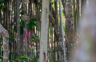 Casa Boomerang - Foto 23