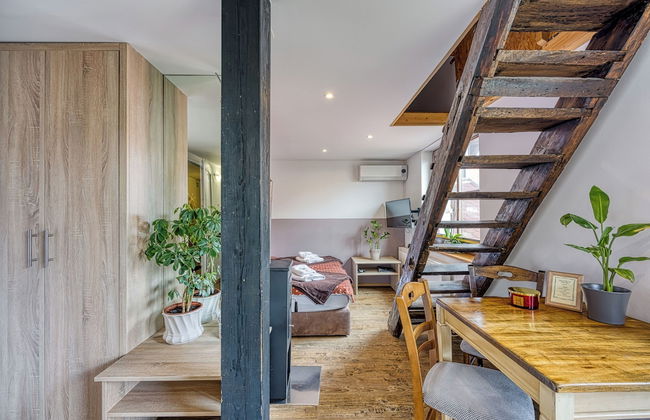 Spa Apartment Tinca - Foto 12