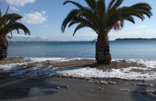 House on the beach - Photo 46