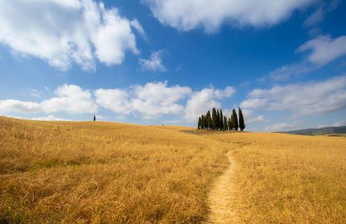 La balena bianca house - Foto 35