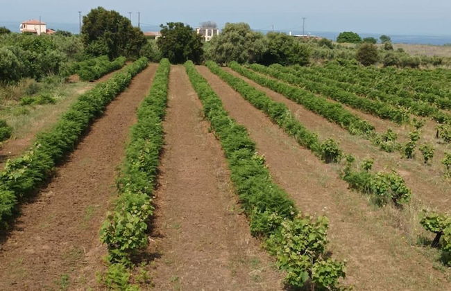 Marina s Nest-holiday Bliss Studio - Foto 16